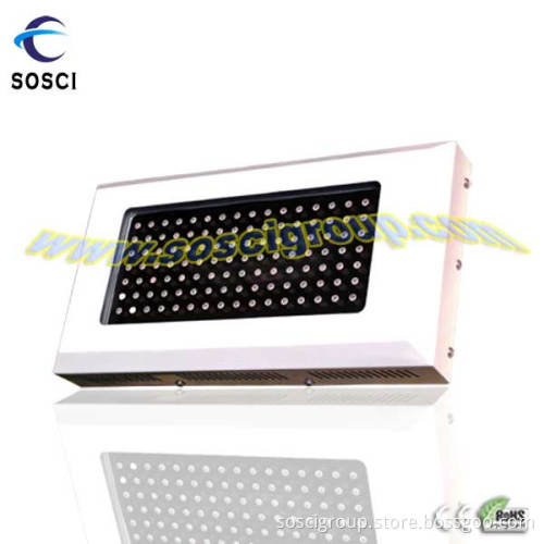 LED Aquarium Light